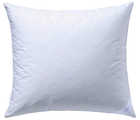 Billerbeck 5452350005 Kissen Faser S21, circa 40 x 60 cm