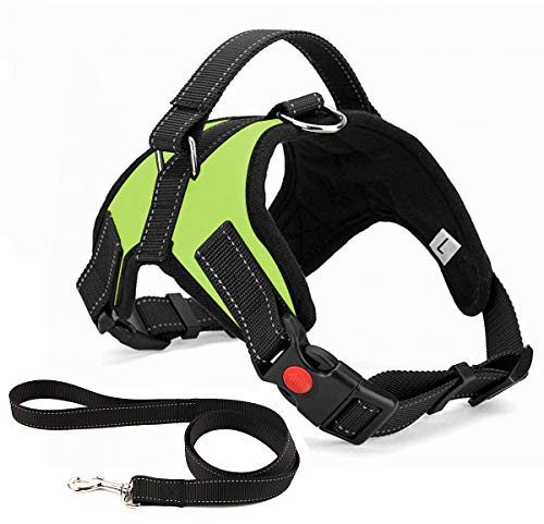 Musonic Harnais pour Chien sans Traction, Confort Réglable et Respirable, Laisse Incluse, pour Petit Moyen et Grand Chiens, Idéal pour l'Entra?Nement et la Marche (L, Vert)