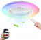 Jopassy 2er Deckenventilator Mit Beleuchtung RGB Dimmbar Deckenlampe 50cm Mit Fernbedienung Und APP 6 Windstufen,Moderne Deckenleuchte mit Ventilator Leise für Schlafzimmer Wohnzimmer,Schwarz