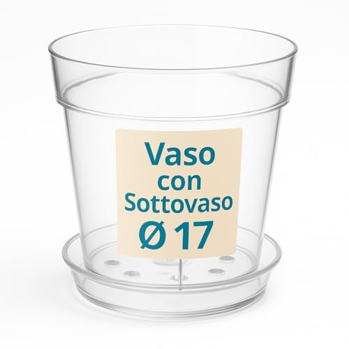 Tomaino - Vase transparent pour orchidée en plastique avec soucoupe - Pour rempotage des plantes intérieures et extérieures (1, Ø 17)