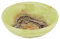 budawi® Schale aus Onyxmarmor ca. 15 x 4,5 cm Edelsteinschale-Dekoschale aus Onyxmamor