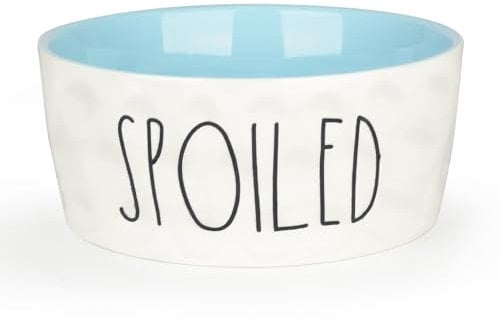 WoofinPets 70OZ Ceramic Dog Bowl - 10'' Extra Large Food Water Dog Bowl, Heavy Duty Non-Slip Dog Dish for Medium and Large Dogs, Food Grade Porcelain Pet Feeder Bowl, Microwave & Dishwasher Safe, Blue