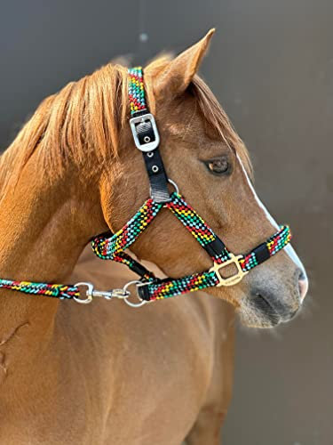 Equipride Geflochtenes Pferdehalfter Führstrick Set, Pferde Zubehör, Größe Full-Shetland (Cob, Mehrfarbig)