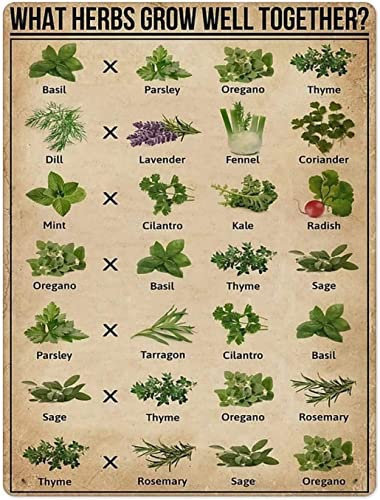 Blechschilder „What Herbs Grow Well Together Knowledge“, Aluminium-Poster, für Zuhause, Schlafzimmer, Badezimmer, Wohnzimmer, Schule, Zimmer, Café, Küche, Zuhause, Wanddekoration, 20,3 x 30,5 cm
