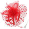 DRESHOW Fascinator Hüte für Damen Pillbox Hut mit Schleier Stirnband und Einer Gegabelten Clip Tea Party Kopfbedeckung