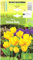 AGRONOM | TULPEN - YELLOW BABY | Mehrjährige Blumenzwiebeln | Gelb Blumen | Werden in Blumengärten, in blühenden Rasenflächen gepflanzt | Die herrlich Blüten | Tulpenzwiebeln | 5 Blumenzwiebel