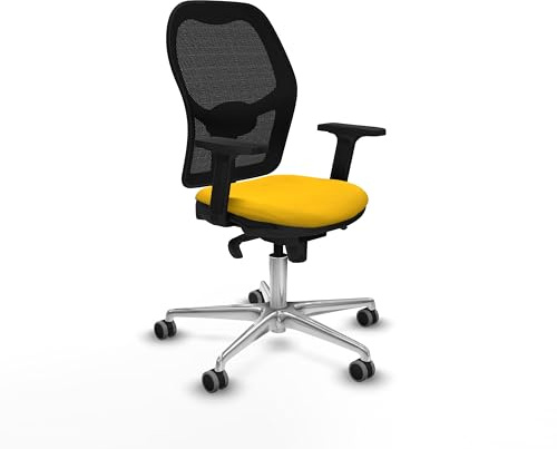 Piqueras y Crespo Ergonomischer Bürostuhl für 8 Stunden Nutzung, maximales Gewicht 120 kg, mit 2D-Armlehnen, 5-fach Synchronmechanik, 1D-Rückenstütze, feste Rückenlehne, attraktive Farbe