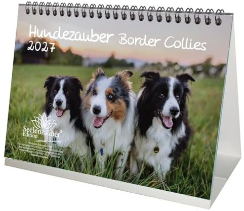 Hundezauber Border Collie DIN A5 Tischkalender für 2027 Welpen und Hunde - Seelenzauber