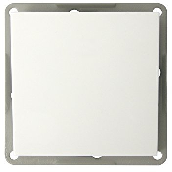 TASTERSCHALTER OHNE RAHMEN, MODUL WEISS