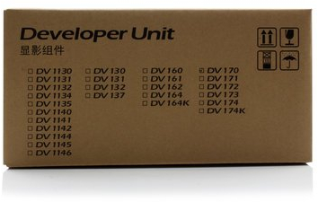 Kyocera original - Kyocera ECOSYS P 2100 Series (DV-170 / 302LZ93010) - Entwicklereinheit