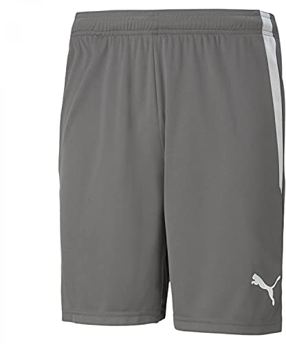 PUMA Teamliga Shorts, Smoked Pearl White, L