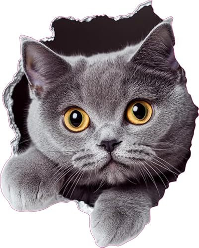 x4 Chartreux Cat Vinyl Stickers Cover Marks Non Transparent Waterproof Decals 1@20cm Tall & 3@7cm Tall Ideal for Toilet, Car Phone case, Cups & More Black Kitty