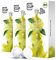 My Tea Cup - TEEKAPSELN GREEN QUEEN SENCHA 3 x 10 KAPSELN I BIO-GRÜNTEE I 30 Kapseln für Nespresso®³-Kapselmaschinen I 100% industriell kompostierbar & nachhaltig – 0% Aluminium…