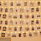 12M Guirlande Photo, 120 LEDs Guirlande Lumineuse Photo Avec 60 Clips Transparents pour Accroche Photo, Decoration Chambre, Noël, Fête, Mariage