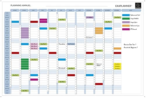 EXACOMPTA Planning annuel magnétique 90x59cm vendu en kit avec de nombreux accessoires