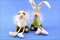 Small-Preis Kantensitzer Kantenhocker Schaf und Hase im 2er Set Sitzhöhe 12/20 cm