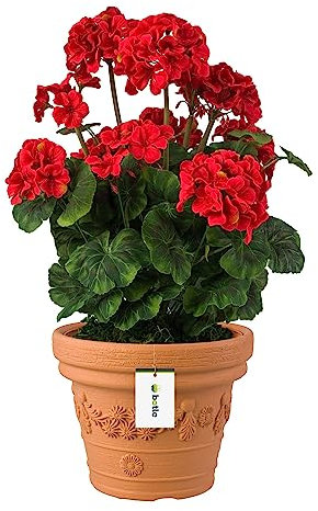 botle Pot de fleurs rond en terre cuite avec motif - Diamètre : 35 cm - Hauteur : 28 cm - Capacité : 15 l - Pot à fleurs rond - Pour terrasse, jardin, balcon - Élégant - Résistant aux UV - Intérieur