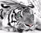 XTSWallpaper Fototapete 3D Effekt 200X150Cm Tier Tiger Textur Tapete Modern Vlies Hintergrundbild Fotografie Wandbilder Riesiges Bild Wohnzimmer Schlafzimmer Kinderzimmer Dekoration