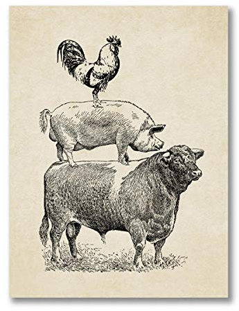 CPGG Kunstdrucke Große Welt Vintage Geflügel Druck Poster Kuh Schwein Hühnerrasse Antik Wandkunst Bild Leinwand Gemälde Bauernhaus Dekoration 50x70cm Ungerahmt