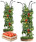 2 Pack Tomato Plant Support 130Cm Tall Climbing Plant Support, Adjustable Garden Tomato Cage Frame Assembled Freely Trellis for Vegetables, Flowers, Fruit Vertical Grow