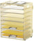 DALTACK 9-Tier Paper Letter Tray Desk Organizer with Handles, Mesh File Holder Organization, File Organizer for Desk Paper Sorter for Office Home School, Gold