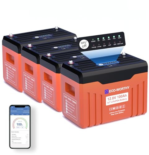 ECO-WORTHY Confezione da 4 batterie al litio da 12 V, 100 Ah, LiFePO4 con display, 0% IVA, 12 V, 100 Ah, per pannello solare, set completo
