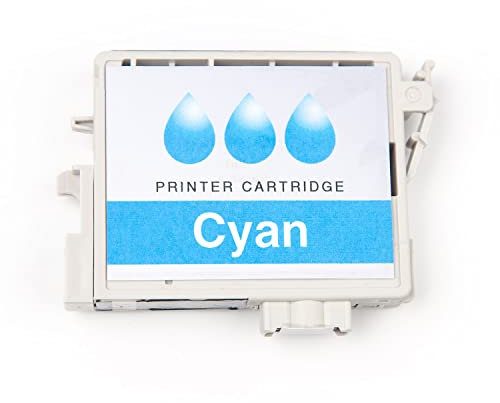 Ricoh Cyan Reinigungskassette für Ri 100