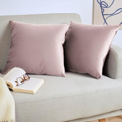 Blumtal Set di 2 Federe Cuscini Divano 50x50 cm in Velluto, con Chiusura Lampo Invisibile, Eleganti Copricuscini Divano in Morbido Velluto,Taglia 50 x 50, Sambuco
