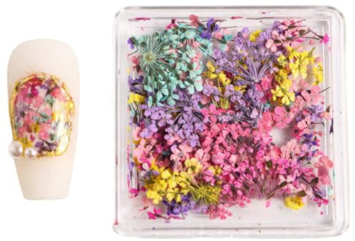 Dried Flower Japanese Nails Art Nails Art Decorations Nails Art Supplies For Daily Weddings