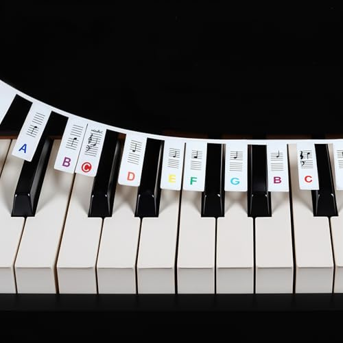 JIYIN Removable Piano Keyboard Note Labels, 88 Key Full Size Silicone Piano Keyboard Labels for Beginners, Colourful Pianos Key Music Notes Letter Label Reusable with Box(Rainbow)
