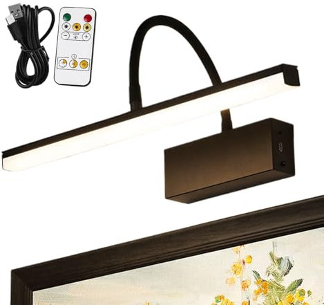 Generico Wall LED illuminazione di immagine - luce dimmerabile per dipinti, telecomando incluso | Lampada a parete wireless con timer per mostre d'arte o murales in casa