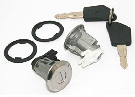 Barillet de porte Peugeot 106 205 309 405 OE 252070 Produit compatible