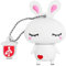 Cute USB Flash Drive Cartoon Rabbit-Shaped 64GB, BorlterClamp Novelty Memory Stick Funny USB Drive Thumb Drive for Data Storage