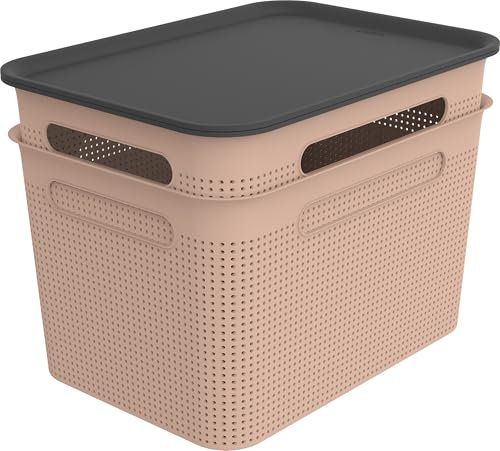 Rotho Brisen 2er-Set Aufbewahrungsbox 16l mit Deckel, Kunststoff (PP recycelt), rosa, 2 x 16 Liter, (36,5 x 26,5 x 21,4 cm)