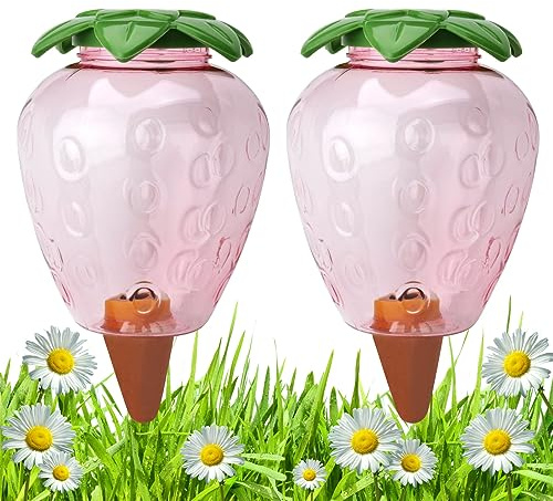 2 Stück Bewässerungskugeln Groß 500ML Groß, Pflanzen Bewässerung Zimmerpflanzen, Bewässerungssystem für Topfpflanzen, Wasserspeicher Pflanzen Plastik Ton Wasserspender Urlaub Garten Deko (Erdbeere)
