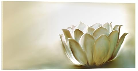 Posterlounge weißer Lotus Acrylglasbild von Christine Ganz 100 x 50 cm Wandbilder Wanddeko