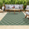 homeart Outdoor Rugs | Easy-Cleaning Indoor & Outdoor Area Rugs for Porch, Deck, Balcony, Garden, Picnic, Kitchen | UV & Weather-Resistant Large Patio Rug Mats Green Cream Classic, 80 x 150 cm