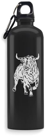 Bull, Trinkflasche, Sport, auslaufsicher, große Kapazität, Edelstahl, Fitnessstudio