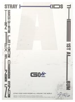 STRAYKIDS SKZ - 1ST ALBUM GO LIVE, [C TYPE]