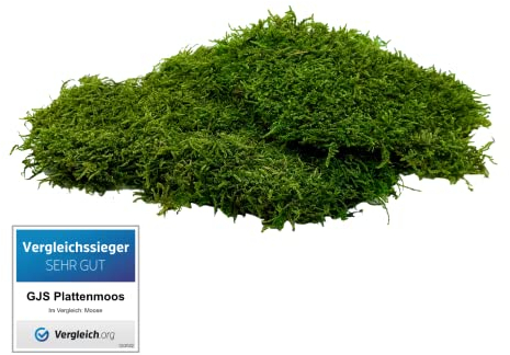 GJS Moos-Platten – Plattenmoos in 100g/200g/500g – echte, konservierte, Matten/Flachmoos zum Basteln, Deko-Moos, Moosbild, Mooswand (200g)