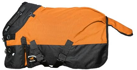 Challenger Winterdecke, 137 cm, 1200D Fohlen, wasserdicht, mit Fleece gefüttert, mittelgroß, Orange-Schwarz