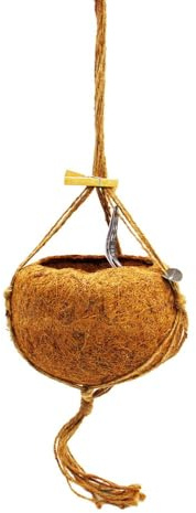 Kokodama - Leerer Ampeltopf zum Hängen - XXL - 24cm