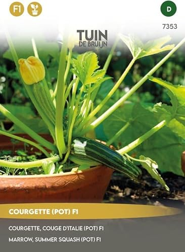 Tuin de Bruijn® Samen - Zucchini Patio Star F1 - Anbau in großen Töpfen - sehr leckere kleine Zucchini-Früchte