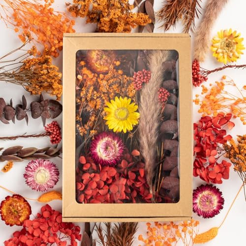LAUMOE Getrocknete Blumen, Trockenblumen, Trockenblumen Zum Basteln Mini Trockenblumen Bunt Trockenblumen Set für Tischdeko DIY Epoxidharz Scrapbook Zubehör