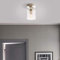 Yosoan klar Glas Vintage Look Deckenleuchte Pendelleuchte Hängeleuchte Vintage Industrie Loft-Pendelleuchte Hängelampen Hängeleuchte (Gebürsteter Edelstahl Farbe)