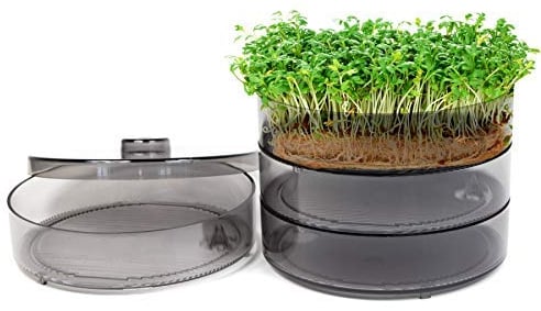 mgc24® Keimbar - Keimsprossenbox zur Anzucht von Keimsprossen mit 4 Keimschalen und Deckel