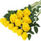 Hawesome Seda Rosa Tallo Largo Flor Artificial Abierta Ramo Boda Decoración del Hogar 12 Piezas Amarillo