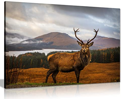 Panther Print Fine Art Prints Red Deer on Highlands Wildlife Artistic Framed Canvas Print, Pictures for Home Walls, Bedroom, Living Room & Bathroom Decor 91x61cm (36x24in)