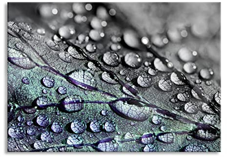 Pixxprint Glasbild, Wandbild aus Echtglas, Nahaufnahme Wassertropfen auf Blatt B&W Detail, 60x40 cm, inkl. Aufhängung und Abstandshalter