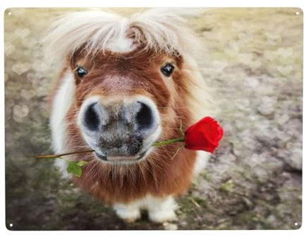 Pferd und Rose, Wandkunstdrucke, Metallschild, Dekor, Wandbehang, Gemälde für Heimdekoration, 30 x 40 cm